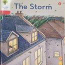 The Storm 이미지