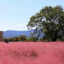 주식회사 현대수리조트 이미지