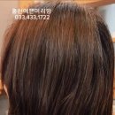 은머리방 | 홍천 염색 맛집 예쁜머리방 | 어두운 샴푸 염색 모발에서 보브컷 내츄럴 브라운 변신!