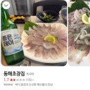 팔공산갈매기 | 정치색 중립 ootd