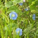 주촌수변공원 이미지