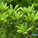 참살이농원 이미지