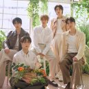 어센트컴퍼니 이미지