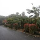 그린사이드펜션 이미지