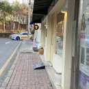 더 브레드105