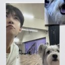 빠숑 이미지