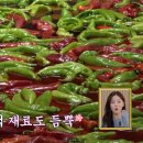 수정목욕탕 이미지