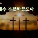 가톨릭 성가 136번 - 예수 부활하셨도다 이미지