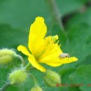 성북2리 이미지