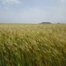 제주일상 이미지