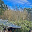 신안운수(주) | 10월 가을 감성 가득한 담양 여행 — 죽녹원 산책부터 담꽃갈비, 콜로세움 베이커리카페까지 하루 코스...