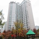 자이탑치과의원 이미지