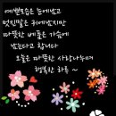 청풍오리 이미지