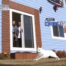 컨추리홈즈 이미지