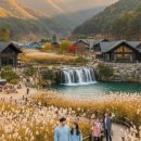 아우라지순두부 | 😍2026년 강원도 여행, 연인 &amp; 가족 모두 만족! 💖 숨겨진 명소부터 인생 펜션까지 💕완벽 가이드!😍