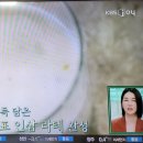 편스토랑 윤유선 인삼라떼 양배추샤브샤브 양배추토스트 new 이미지