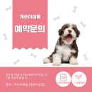 개순이 살롱 이미지