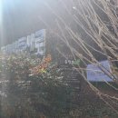 매암산 등산로 이미지