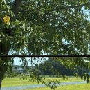 안흥면우체국 | [서울>경포 고속버스] 서울에서 강릉 바다까지! 당일치기 동해 후기