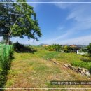 경남고성부동산 - 거류면 넓은 텃밭의 미등기 촌집 시골집매매 780제곱미터 (236) 이미지