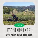 보성군 청소년수련원 | [전남 보성] 남도해양열차 경전선(S-Train) :: 보성녹차밭 대한다원, 보성녹차리조트, 차 박물관