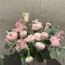 홈런세탁소 | 지구의일상 #157 ㅣ 자궁내막증 수술 후 회복기