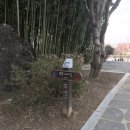 망경자전거 도로 이미지