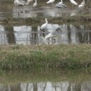 우포 따오기 구조 치료센터 이미지