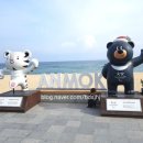 경포 관광안내소 이미지