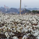 한우물농장 이미지