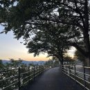 대평할머니 이미지