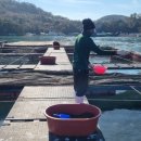 경상남도 수산안전기술원 이미지