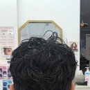 갈롱헤어