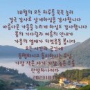여수동백악기