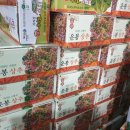 비엠(BM) 이미지