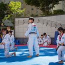 용인대 국가대표 태권도 이미지