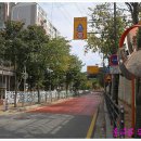 삼가초등학교 앞 이미지