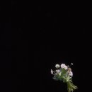 나를 지켜가는 인문학 동행 | 제가 웨딩 촬영이란 것을 해보았어요. .[제주 웨딩 스냅 후기, 한폭]