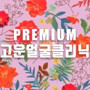 고운얼굴 이미지