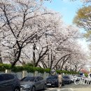 성산구 ⓒ-31 이미지
