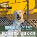애견동반 밀양테마수영장 이미지
