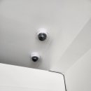 올바름 반려견 뷰티샵 이미지