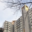 오션시티공인중개사사무소 이미지