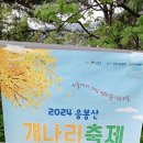 응봉산 개나리 꽃풍경 #1 이미지
