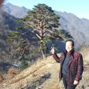 금계식당 이미지