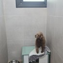 동글동글 이미지