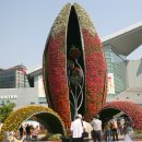 H9224 Daum카페