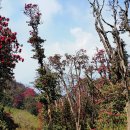 베이스캠프 이미지