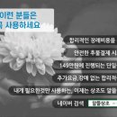 상복목장 | 인하대병원장례식장 아픔없이 편안히 가셨기를 바라면서