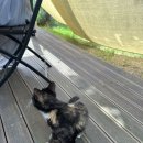 감성목장 이미지